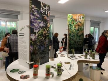 Exposición de hierbas aromáticas y culinarias
