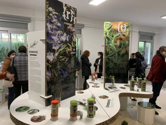 Imagen: Parte de la exposición 'El universo de los sabores' en el CEIP Port de Xàbia
