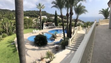Jardín con piscina, barbacoa y palmeras
