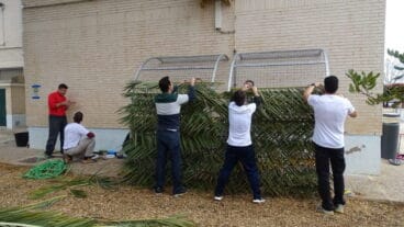 Nuevo puente verde en el patio del CEIP Trenc d’alba