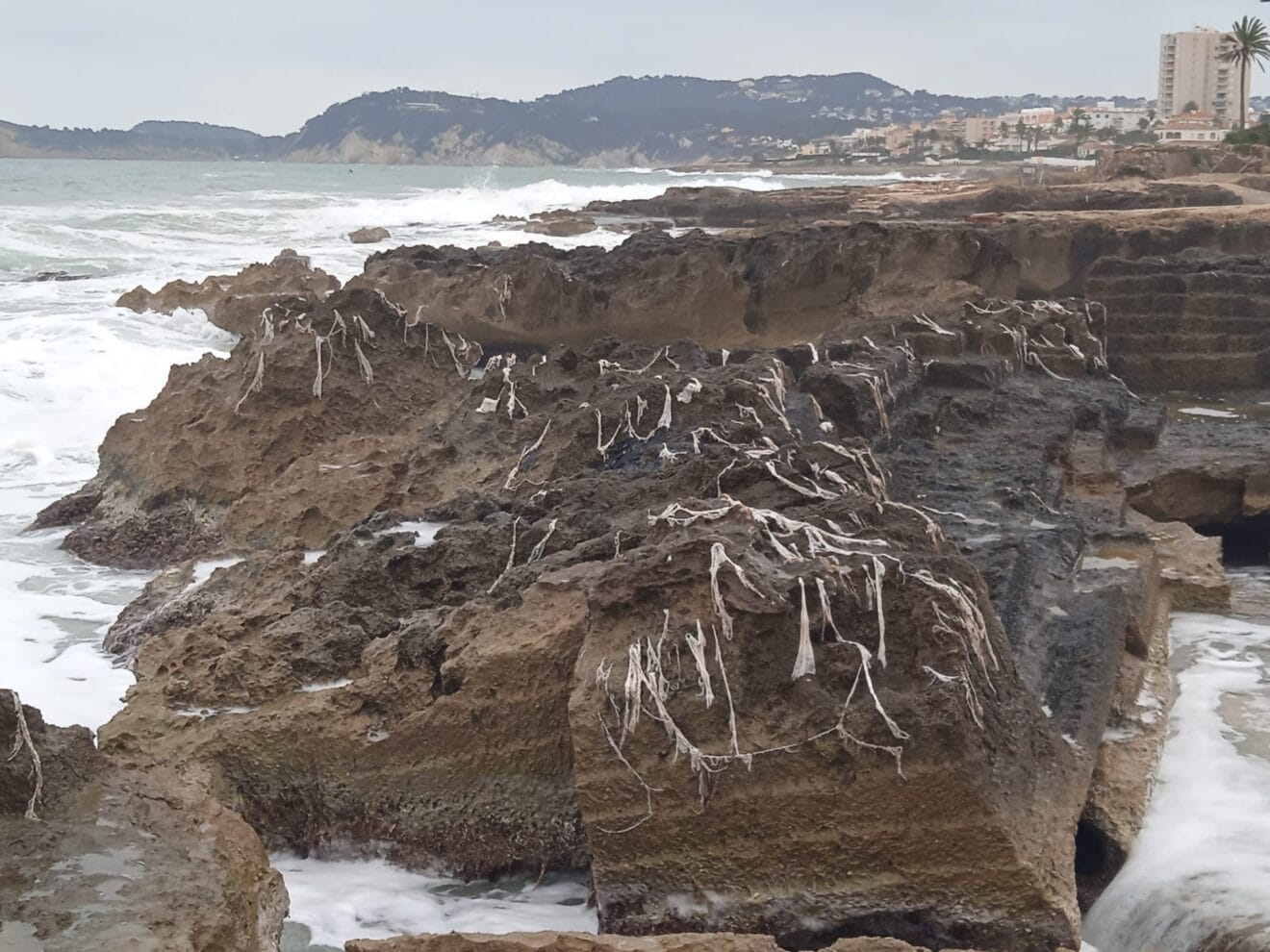Restos de toallitas en el Primer Montañar -Cala del Ministro