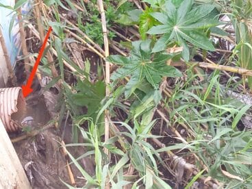 Tubería rota  en el cauce del río Gorgos