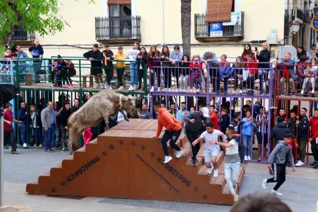 Imagen: Jornada de Bous al carrer en las fiestas de Jesús Nazareno
