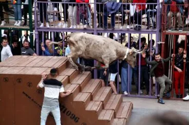 Jornada de Bous al carrer en las fiestas de Jesús Nazareno (12)