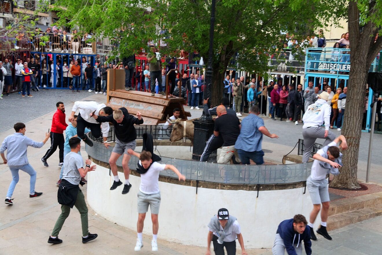 Jornada de Bous al carrer en las fiestas de Jesús Nazareno (14)