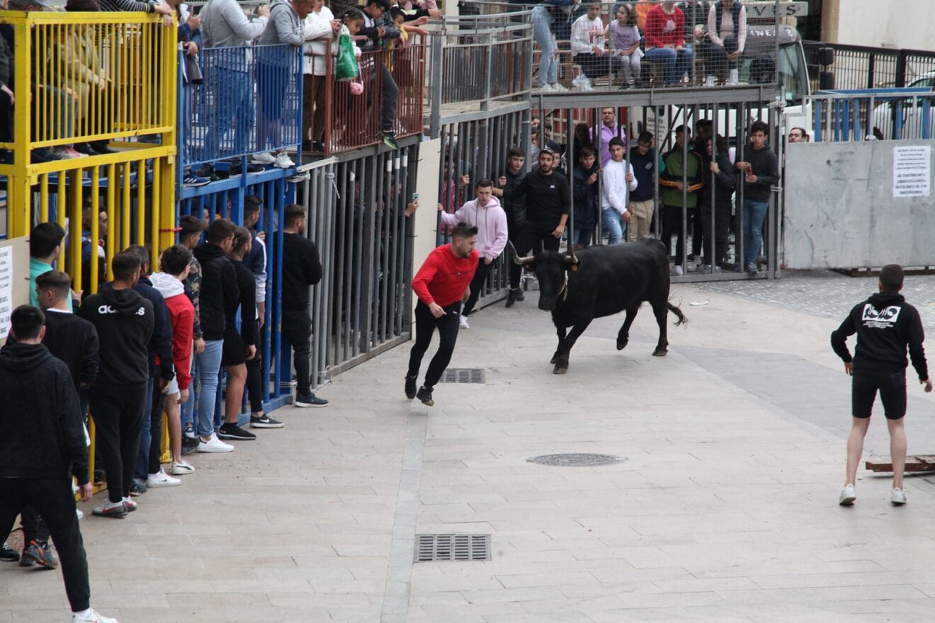 Jugando con el toro