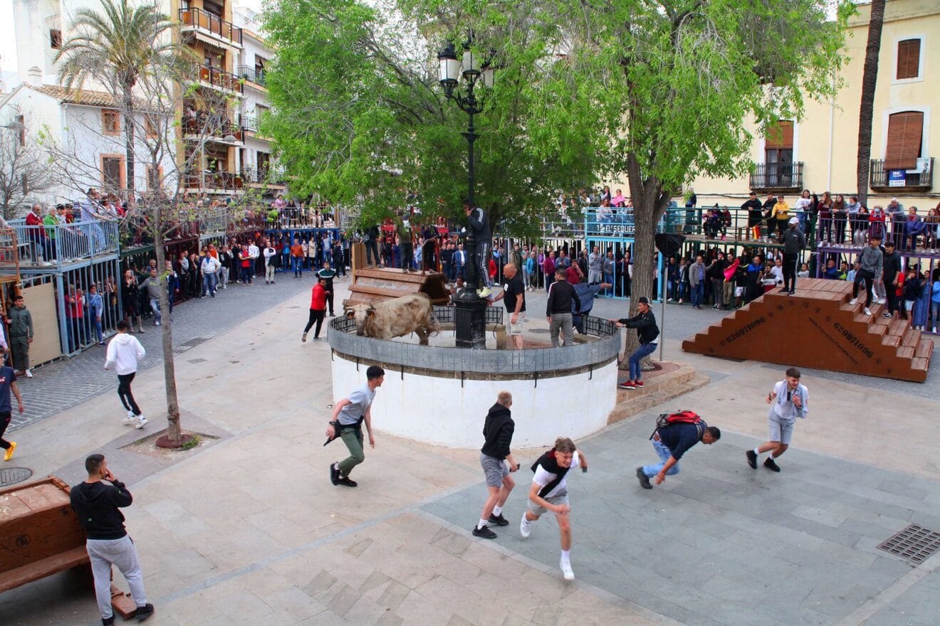 Jornada de Bous al carrer en las fiestas de Jesús Nazareno (9)