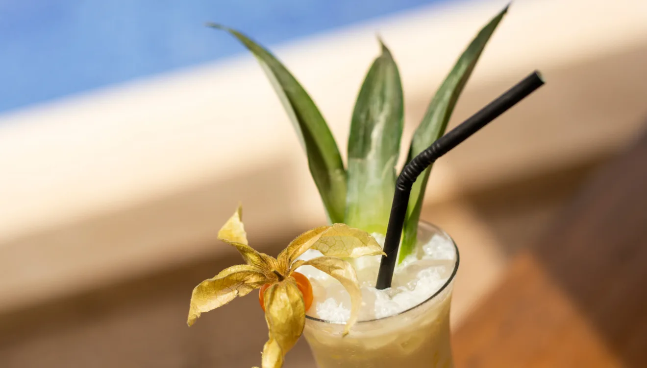 Saborea deliciosas bebidas en este restaurante ideal para el verano