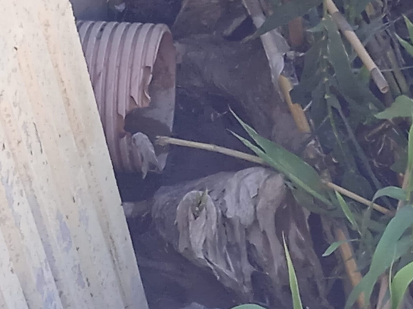 Tubería situada bajo el puente de la Vía Augusta