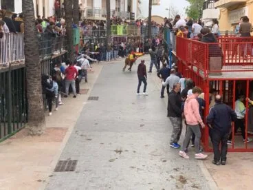 Vaquilla durante la sesión taurina