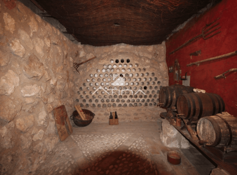 Bodega rústica de la vivienda