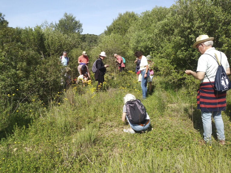 Excursion to observe the wild orchids