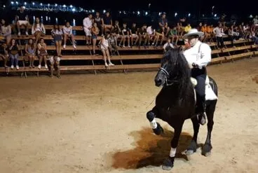 Foto de archivo de un espectáculo de doma de caballos en Xàbia