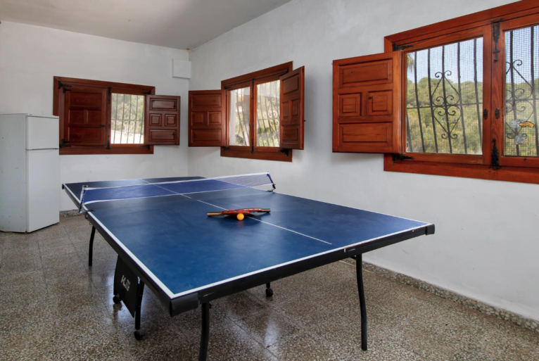 Ping-pong table in the house