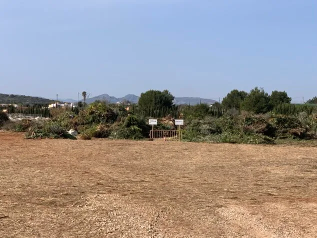 Imagen: Residuos verdes depositados en la parcela de Catarroges Xàbia
