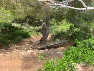 rea de descanso en el propio mirador de la Falzia