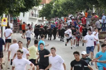 Entrada de bous al carrer Xàbia 2022