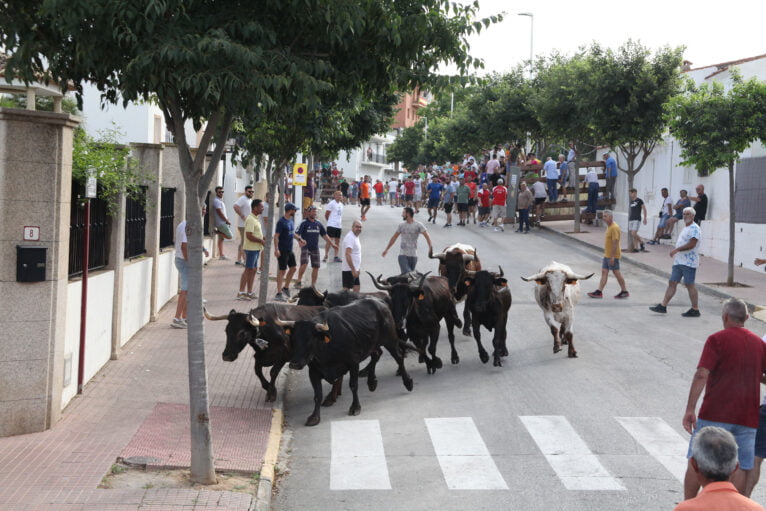 Entrada de vacas y toros Fogueres Xàbia 2022