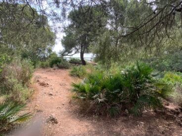 Final del camino que lleva al mirador