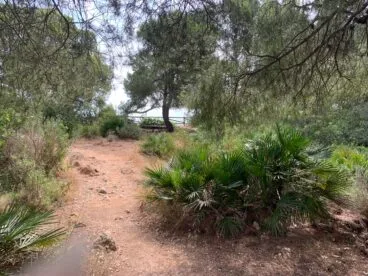 Final del camino que lleva al mirador