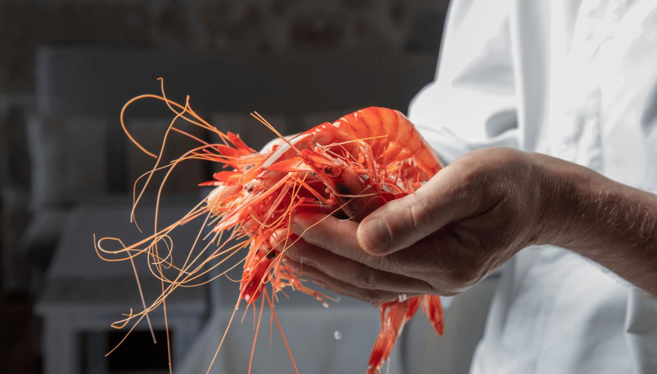 Las mejores gambas frescas en este restaurante de Jávea