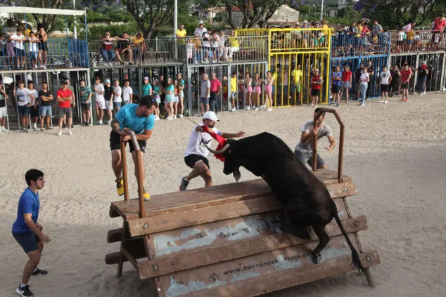 Imagen: Primera sesión taurina de Fogueres Xàbia 2022