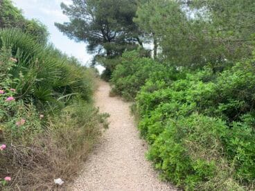 Senda de acceso al mirador de la Falzia