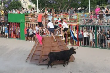 Sesión taurina en Les Fogueres de Sant Joan 2022