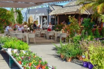 Bali Café en el interior de un vívero