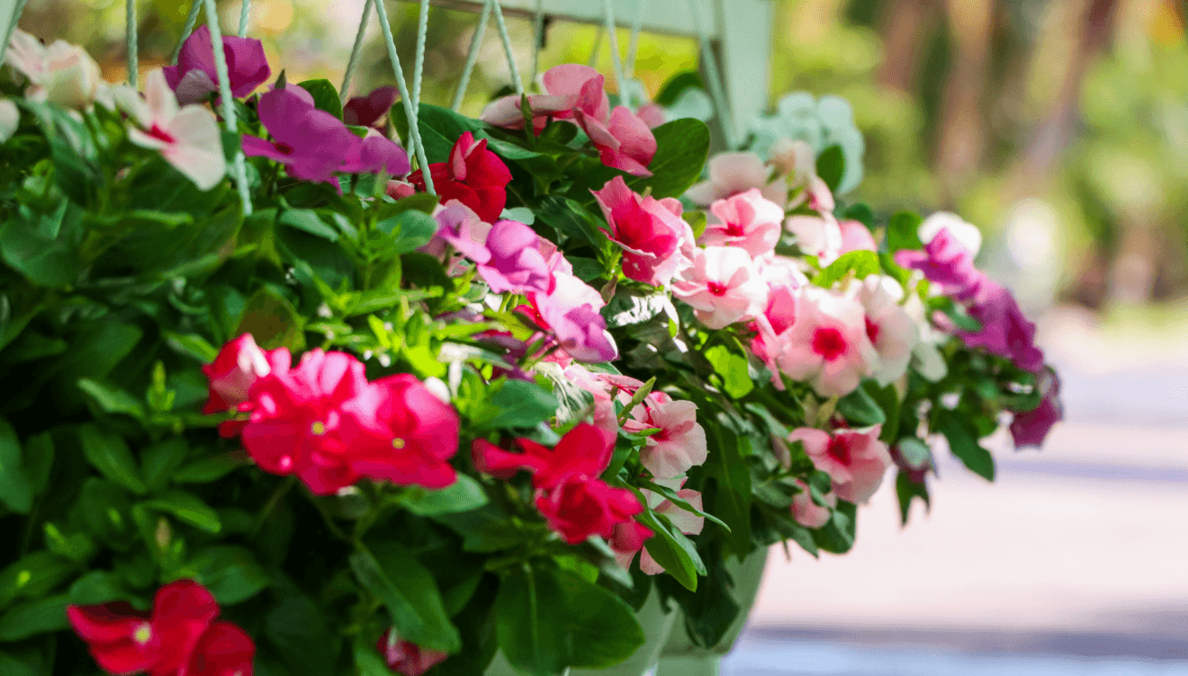 Dale color a tu hogar con las flores de Monverd