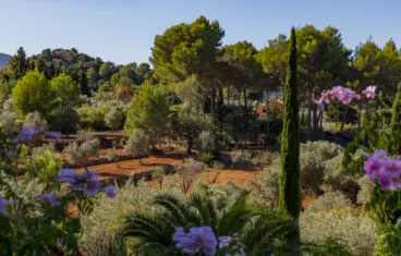 La finca se encuentra rodeada de naturaleza