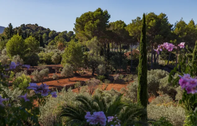 Imagen: La finca se encuentra rodeada de naturaleza