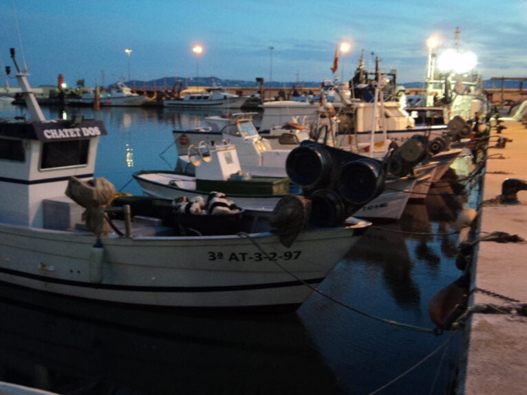Bateaux de pêche artisanale dans le port de Xàbia. Photo de Juan Codina en 2013