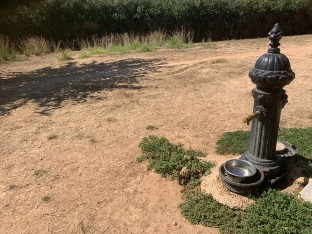 Imagen: Punto de agua en el área de Pou de Moro