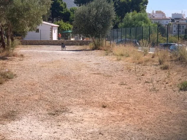 Imagen: Un perro disfrutando en el área canina