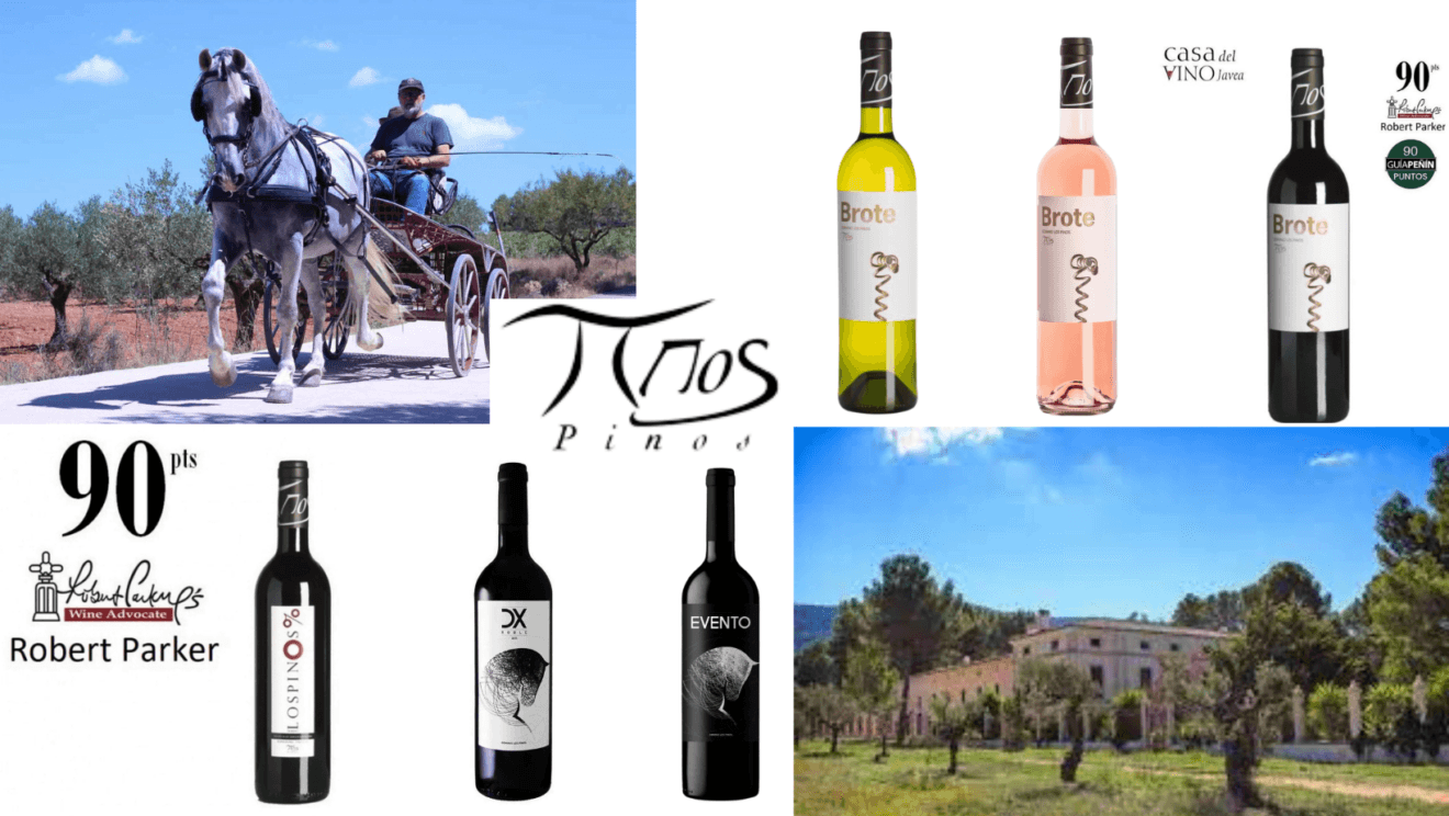 Bodega Los Pinos - Casa del Vino