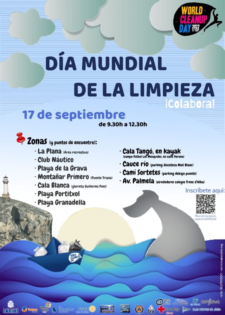Cartel día limpieza