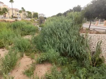 Estado del cauce del río Gorgos