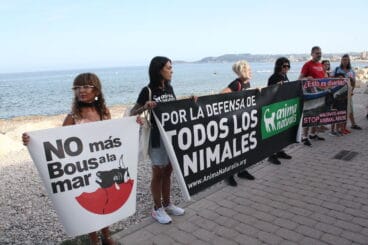 Manifestación antitaurina en Xàbia (4)