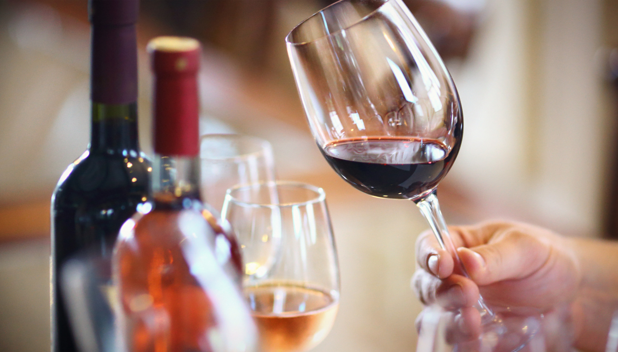Nueva ruta de catas de vinos de la mano de la Casa del Vino