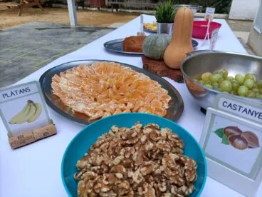 Alimentos de otoño en la festa de la Tardor del CEIP Port de Xàbia