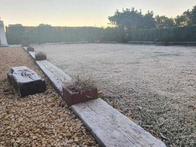 Imagen: Jardín con hielo por bajas temperaturas