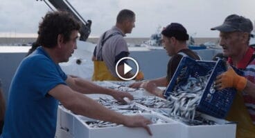 Pescadores Xàbia