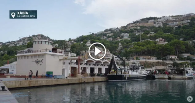 Imagen: Puerto pesquero y lonja de Xàbia