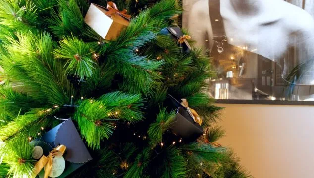 Imagen: Regala paz y bienestar con las cajas navideñas de Moma