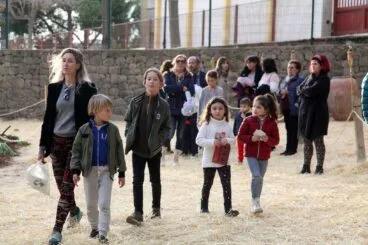 Campamento real en Xàbia en 2023 38