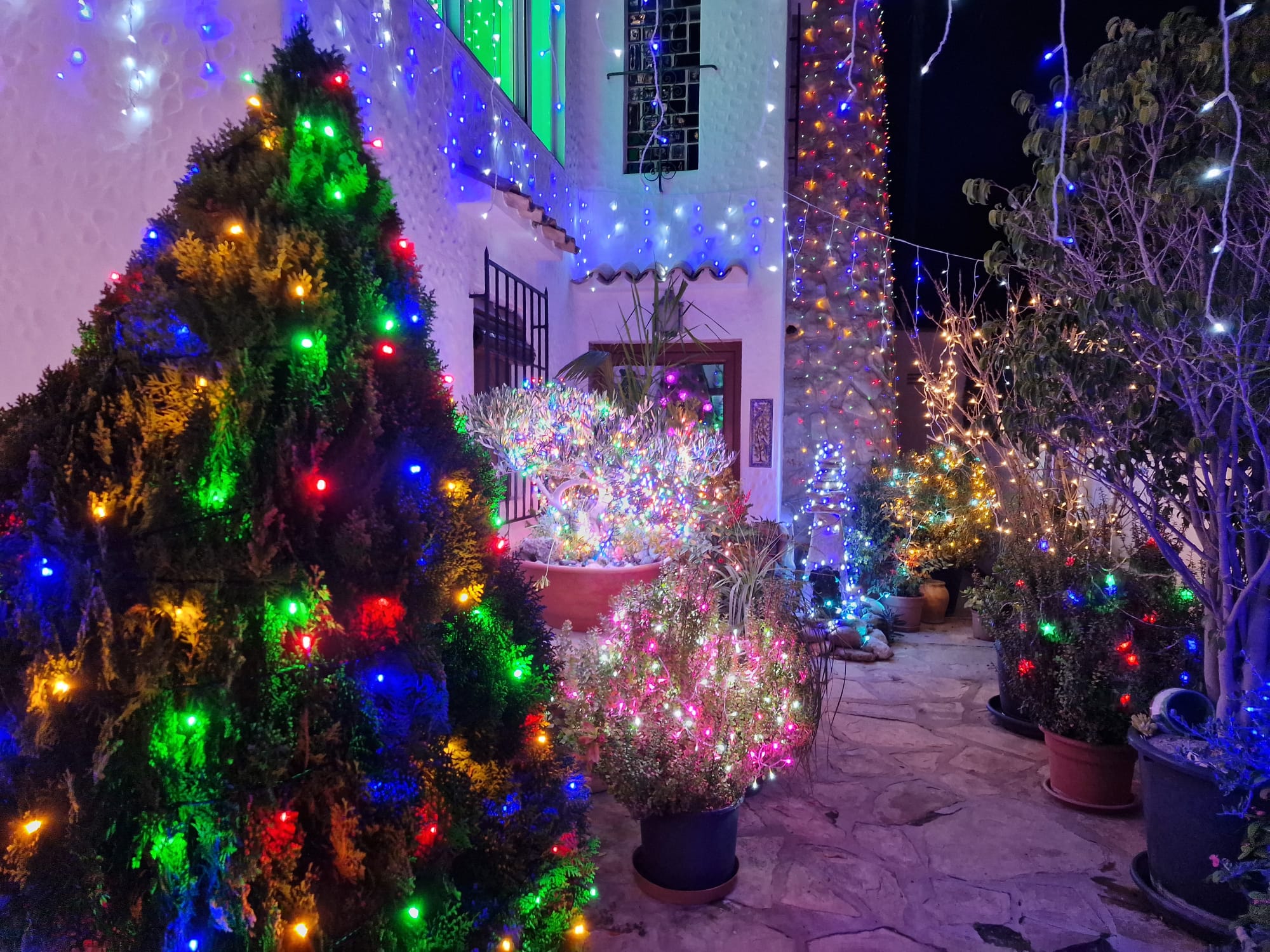 Iluminación de Navidad en la casa de Celeste y Marcos