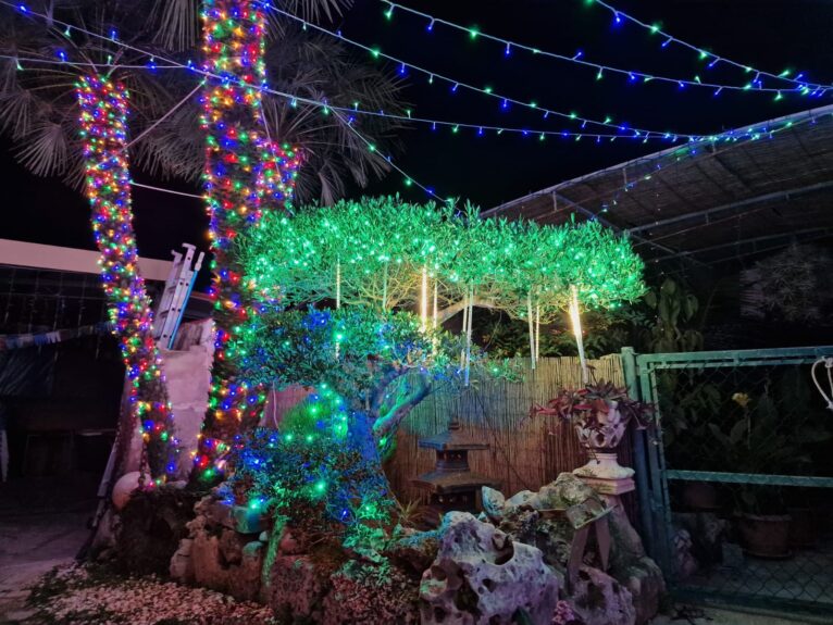 Iluminación navideña en el jardín de Celeste y Marcos