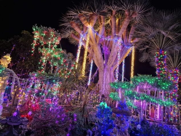 Imagen: Iluminación navideña en el jardín de la casa de Celeste y Marcos