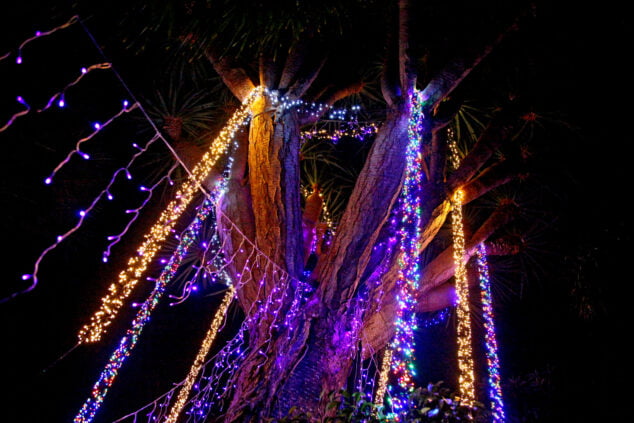 Imagen: Árbol con iluminación navideña en Xàbia